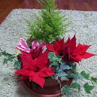 クリスマスの夜に♥