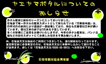 ヤエヤマボタル鑑賞についてのお知らせ