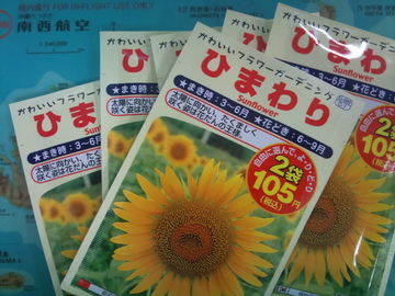 向日葵の種