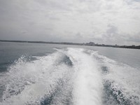 海開き・・・でした