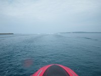 海開き・・・でした