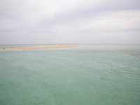 ベタ凪だったそうな・・・