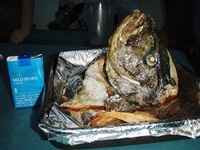 ツアーの釣果