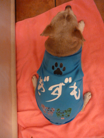 きんちょうします。。。 きんちょうします。。。