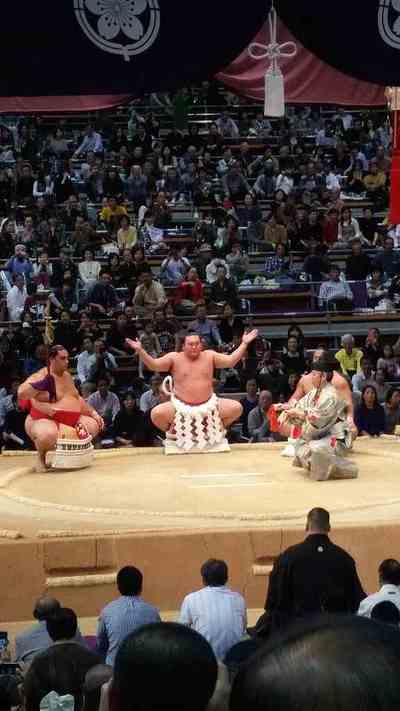 大相撲観戦 大相撲観戦