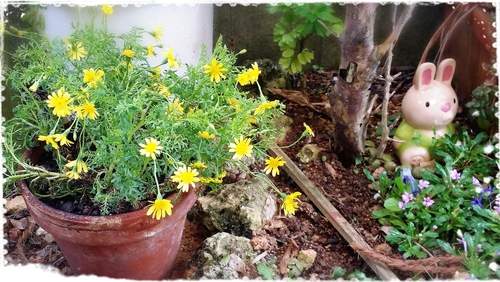 花畑 花畑