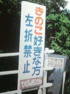 きのこ好き