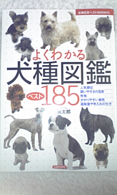 イヌ図鑑