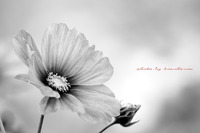 2011年10月14日