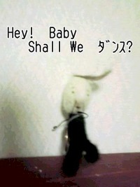 2011年12月01日
