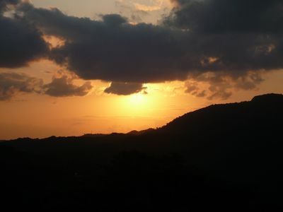 新年