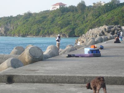 沖縄の海はまだまだ奇麗