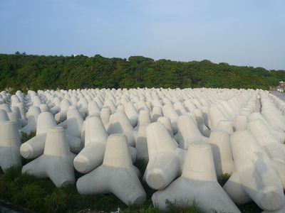 沖縄の海はまだまだ奇麗