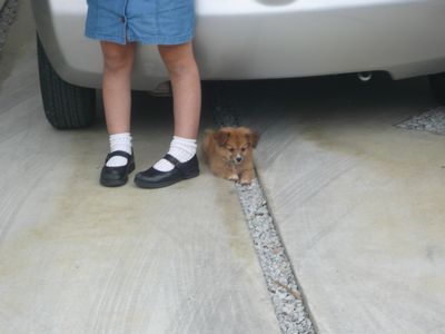 里子に行った子とご対面