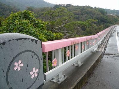 一週間後は桜祭りです