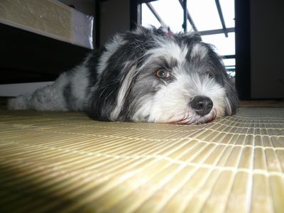 眠れない夜。。。