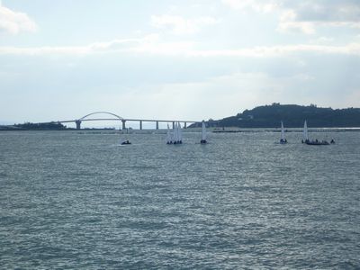 ヨットが沢山楽しそう~