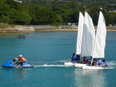 ヨットが沢山楽しそう~