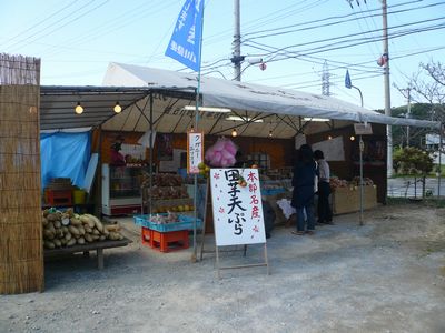 今日も晴天なり