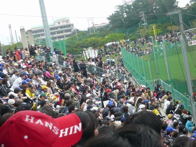 阪神と日ハムの練習試合