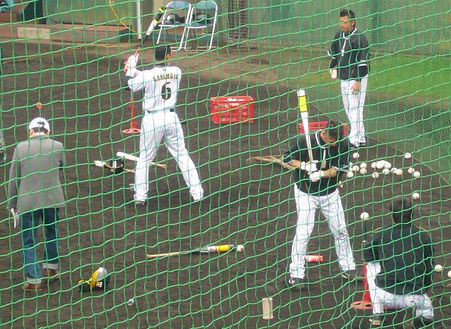 阪神と日ハムの練習試合