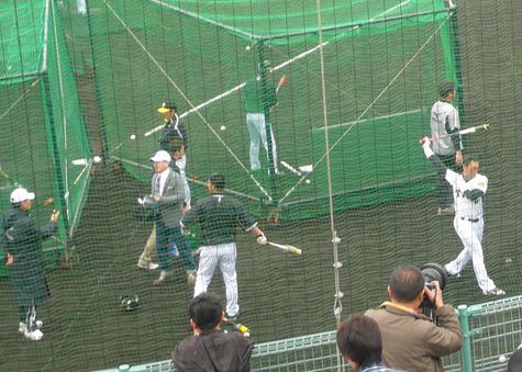 阪神と日ハムの練習試合