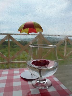本部町の崎本部に新しくカフェがオープン