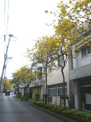 イッペイ便り