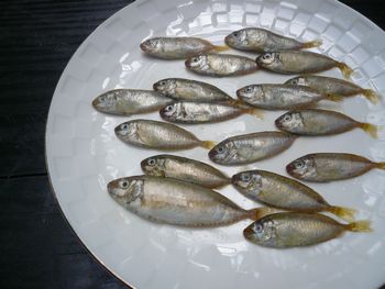 すくガラス