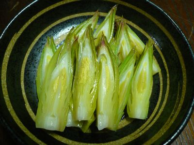 ドラゴンフルーツのつぼみを味見