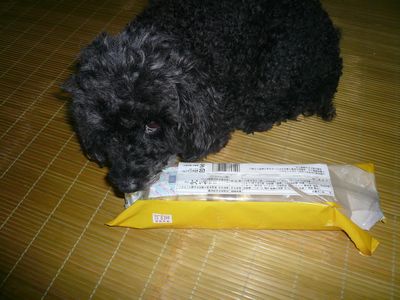 りりーがまたまたあっち行きこっち行きです