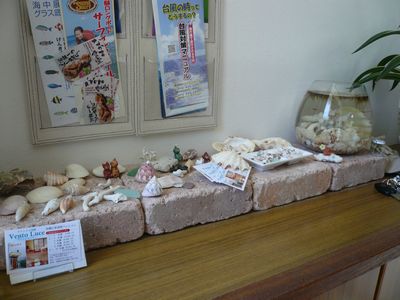 ペンションヴェントルーチェさんが遊びに着てくれました