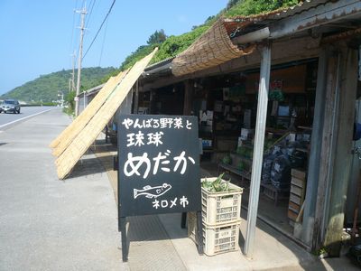 昔懐かしいナーベーラー発見