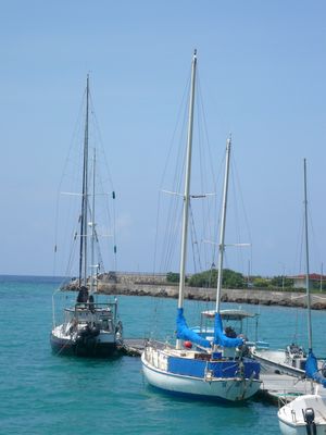 ランチタイム