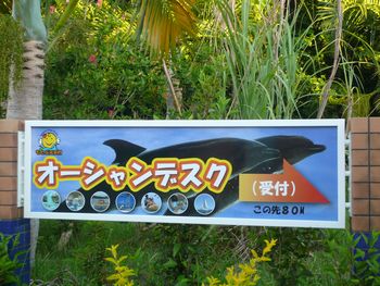 本部の海水プール