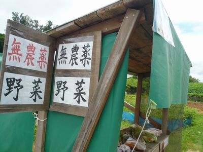 無人野菜販売所の招き猫