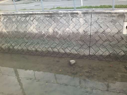泡瀬の川