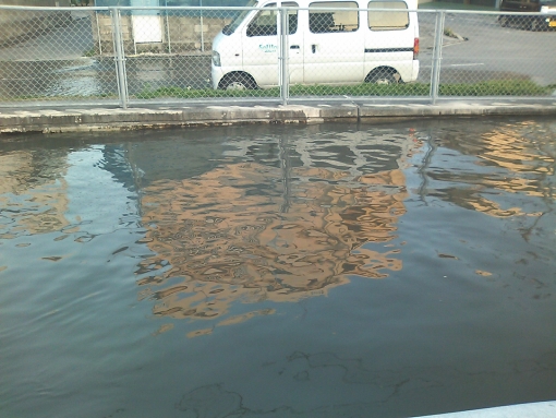 泡瀬の川3