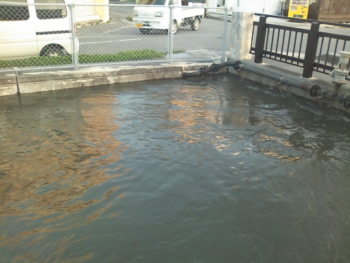 泡瀬の川3