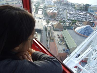 休日 家族 美浜