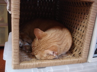 今のお気に入りはここ。