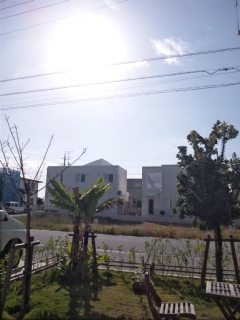 いい天気だけど・・・