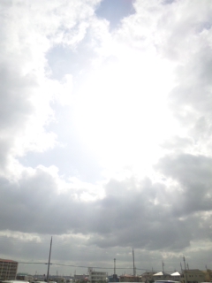 朝のひととき