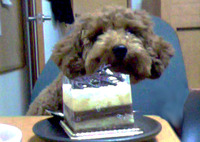 HAPPY BIRTHDAY CHAKO 2012/02/18 02:23:20