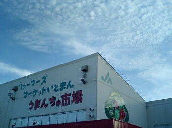 糸満の農家直送市場
