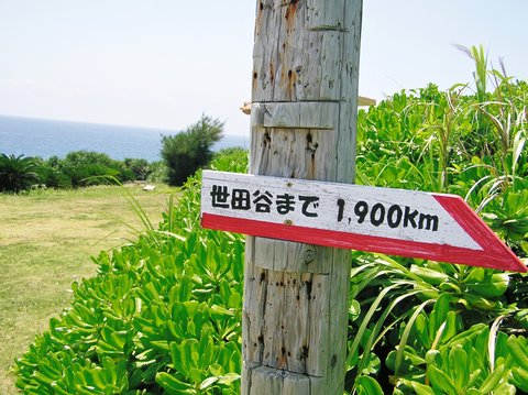 行く!!