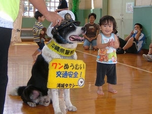 沖縄浦添の警察広報犬ボギー