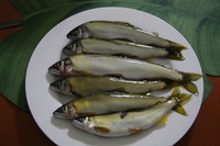 天然鮎