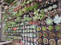 最終日です♪ 2012/02/04 11:05:37