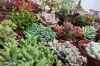 ★入荷情報☆ 2012/02/19 23:12:25